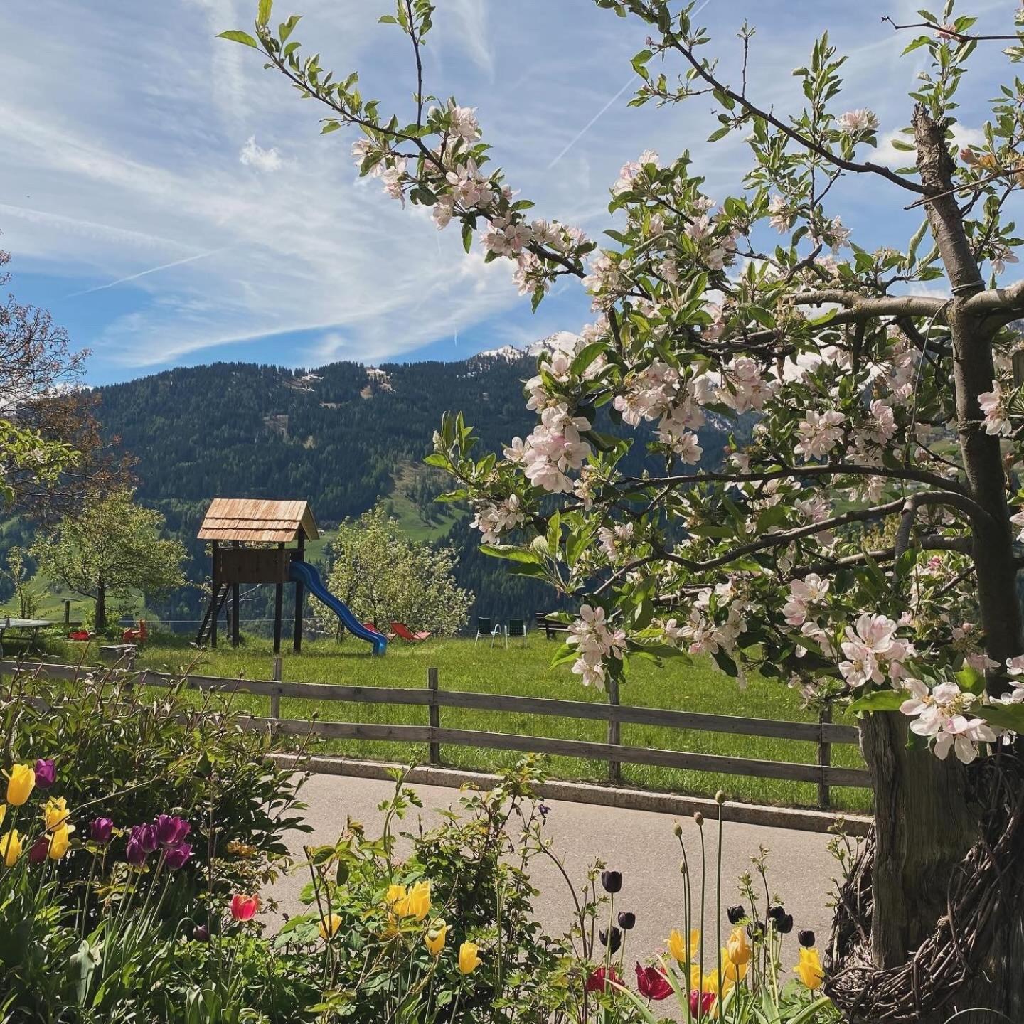 Hotel Alpenland Moso Exterior photo